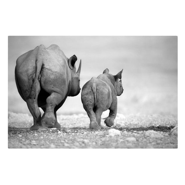 Stampa su tela - Wandering Rhinos II - Orizzontale 3:2
