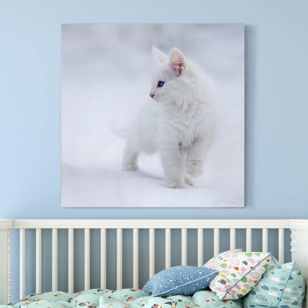 Quadri con gatti Bianco come la neve