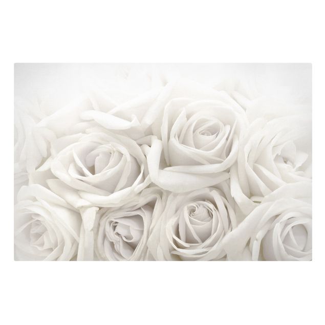 Stampa su tela - White roses - Orizzontale 3:2