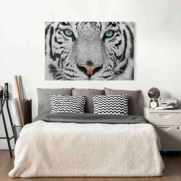 Tela tigre Tigre bianca