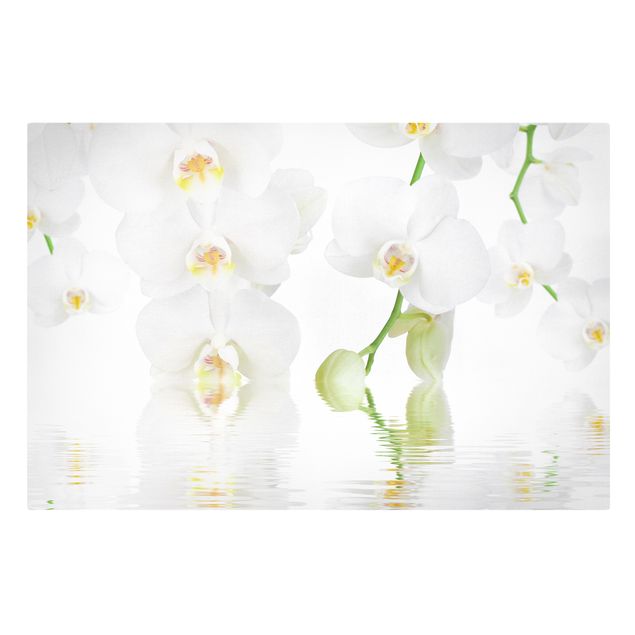 Stampa su tela - Wellness orchid - White orchid - Orizzontale 3:2