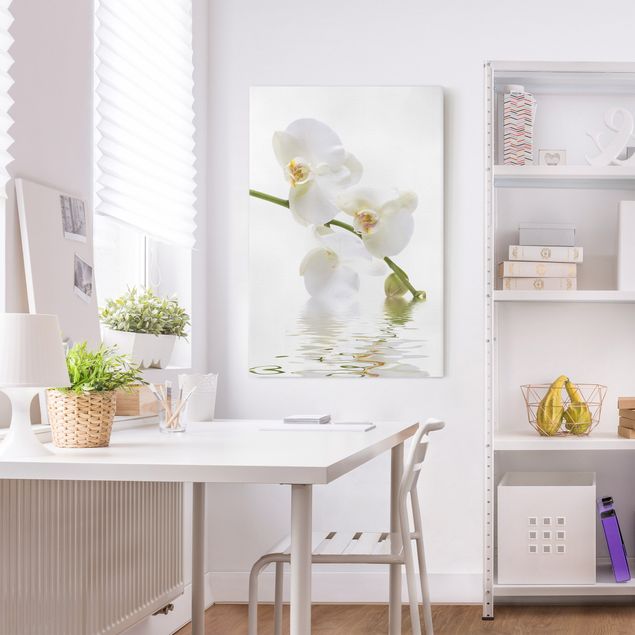 Quadri moderni per soggiorno Acque di orchidea bianca