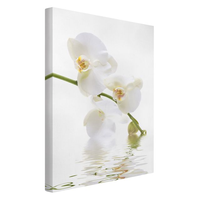 Stampa su tela Acque di orchidea bianca