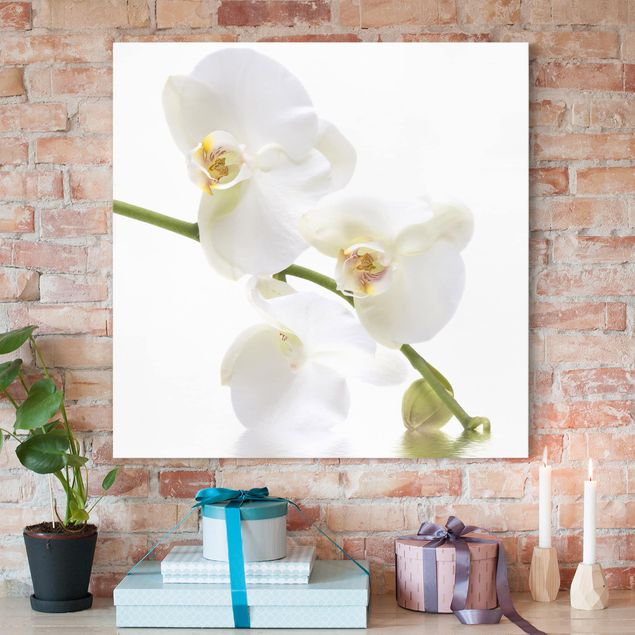 Quadri su tela con orchidee Acque di orchidea bianca