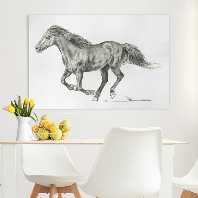 quadri con animali Prova di cavallo selvaggio - cavalla