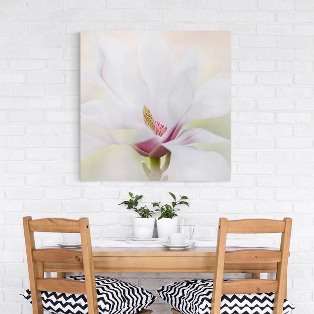 Quadri moderni per soggiorno Delicato fiore di magnolia