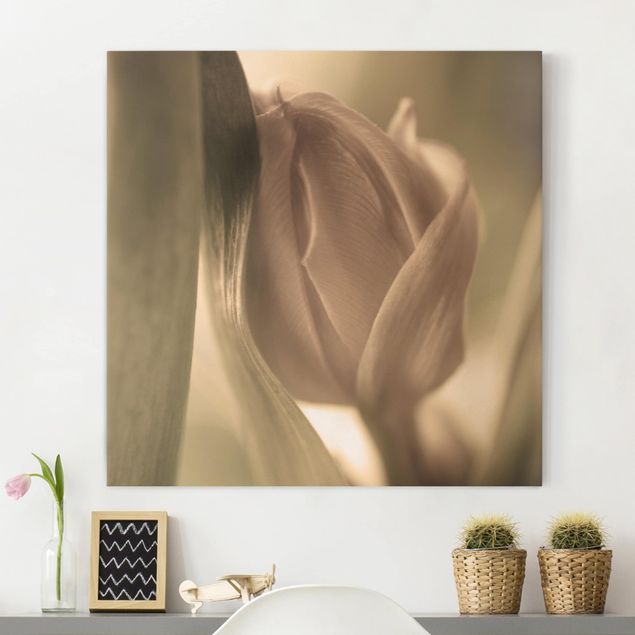 Quadri su tela fiori Tulipano delicato