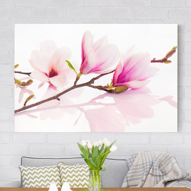 Stampe su tela fiori Delicato ramo di magnolia