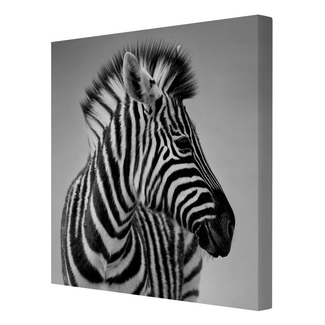 Quadri su tela Ritratto di piccola zebra II