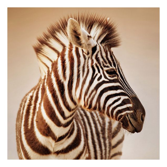 Quadri su tela Ritratto di piccola zebra