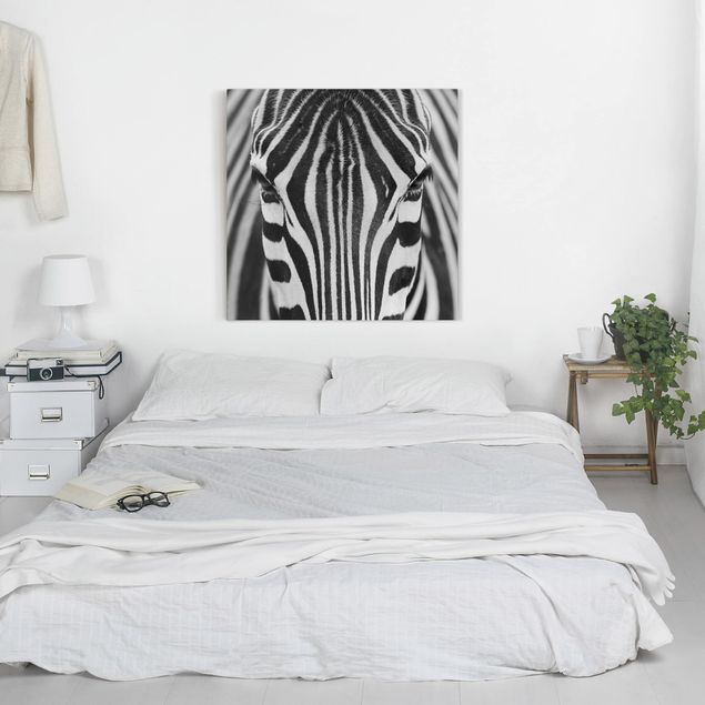 Tele bianco e nero Sguardo da zebra