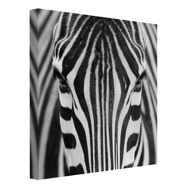 Quadri moderni per soggiorno Sguardo da zebra