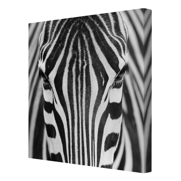Stampa su tela - Zebra Look - Quadrato 1:1