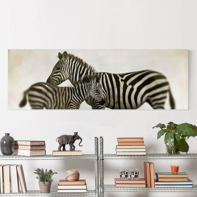 quadri con animali Coppia di zebre
