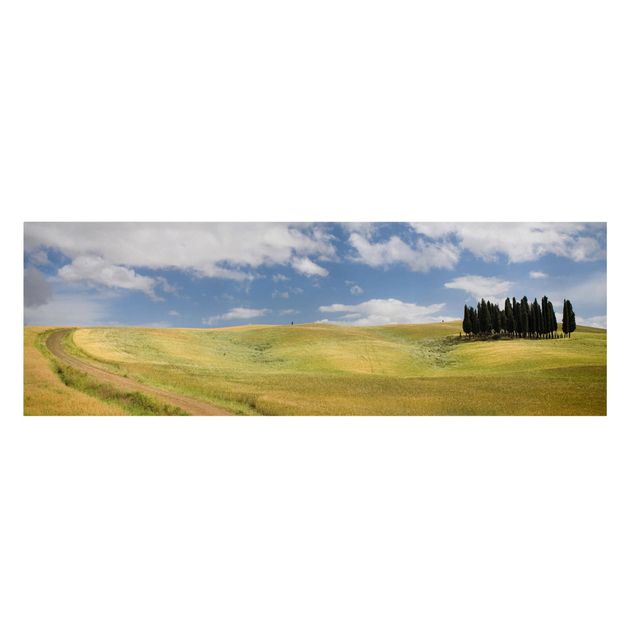 Stampa su tela - Cypress Trees In Tuscany - Panoramico