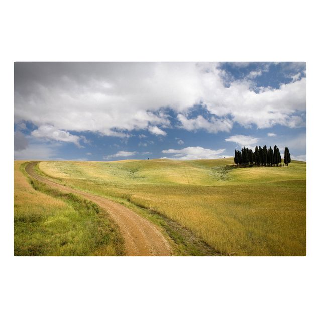Stampa su tela - Cypress trees in Tuscany - Orizzontale 3:2
