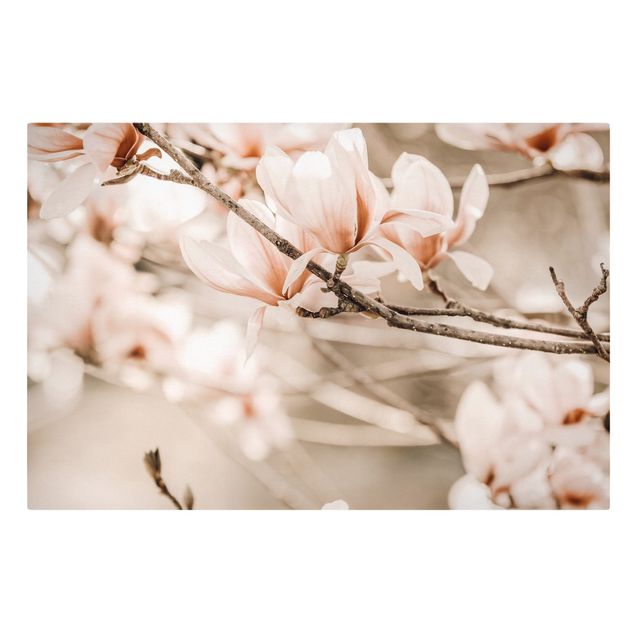 Quadro su tela - Ramo di magnolia in stile vintage