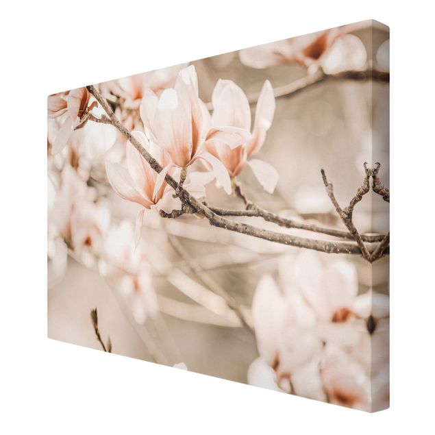 Quadro su tela - Ramo di magnolia in stile vintage