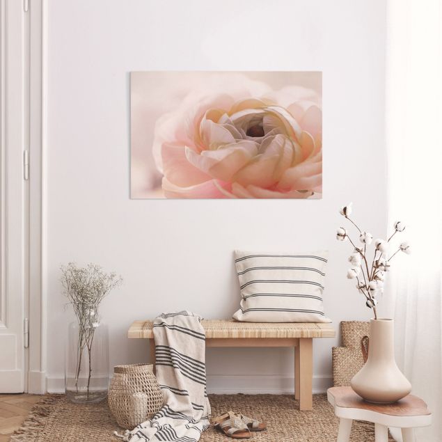 Riproduzione quadri su tela Focus sul fiore rosa chiaro