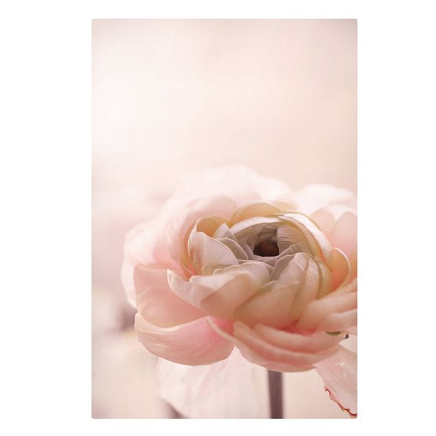 Quadro su tela - Focus su fioritura rosa
