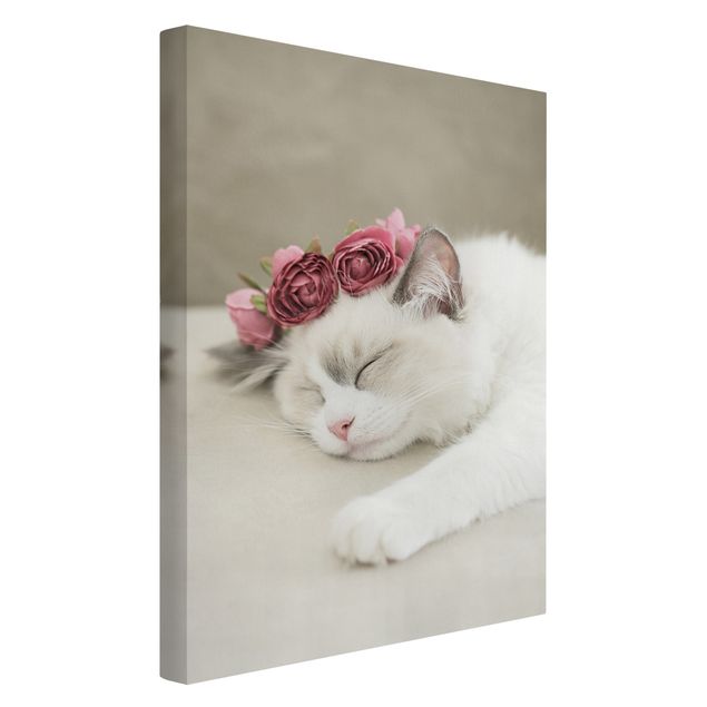 Riproduzioni su tela quadri famosi Gatto addormentato con rose