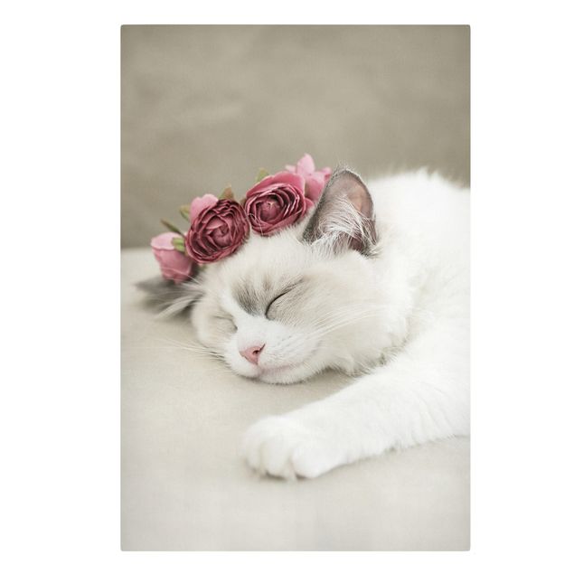 Stampe su tela animali Gatto addormentato con rose