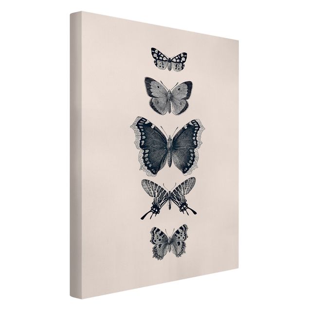 Stampe su tela animali Farfalle d'inchiostro su sfondo beige