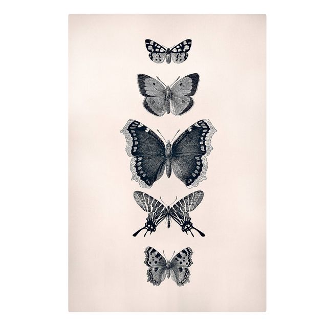 Quadri moderni per soggiorno Farfalle d'inchiostro su sfondo beige