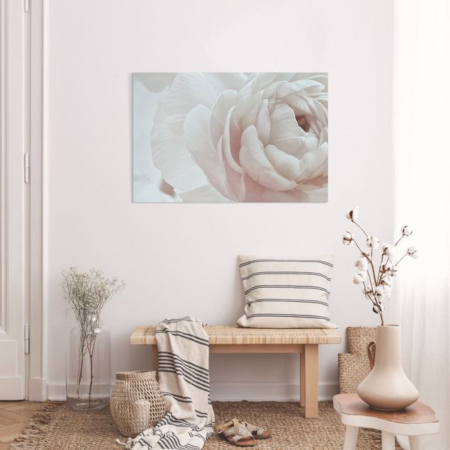 Riproduzione quadri su tela Fiore bianco in un oceano di fiori