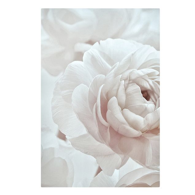 Quadro su tela - Fioritura bianca in un mare di fiori