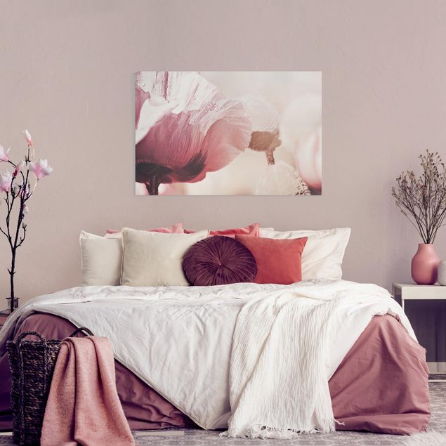 Riproduzioni su tela quadri famosi Fiore di papavero rosa pallido con gocce d'acqua