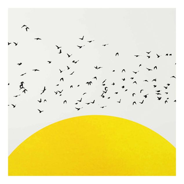 Quadro in vetro - Stormo di uccelli davanti al sole dorato - Quadrato 1:1