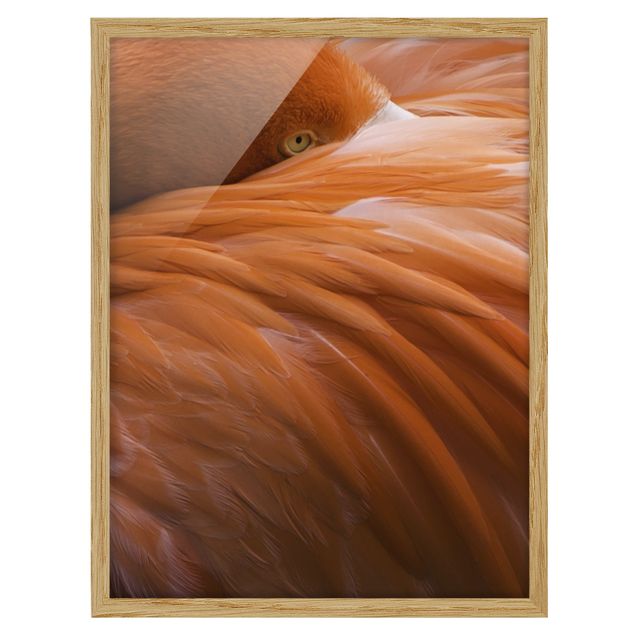 Poster con cornice - Flamingo Feathers - Verticale 4:3