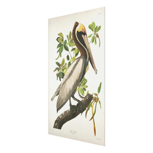 Quadro in vetro - Vintage Consiglio Brown Pelican - Verticale 3:2
