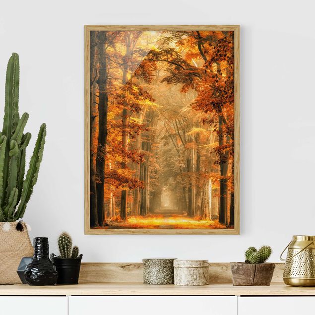 Poster con cornice - Enchanted Forest In Autumn - Verticale 4:3