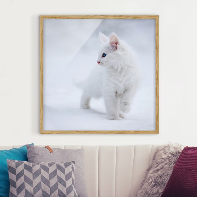 quadri con animali Bianco come la neve