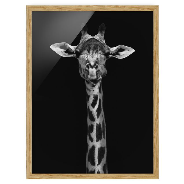 Poster con cornice - Scuro Ritratto della giraffa - Verticale 4:3