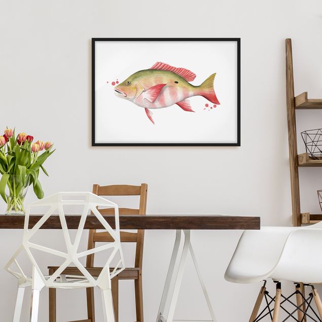 Poster con cornice - Color Catch - Northern Red Snapper - Orizzontale 3:4