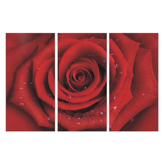 Stampa su tela 3 parti - Red Rose With Water Drops - Verticale 2:1
