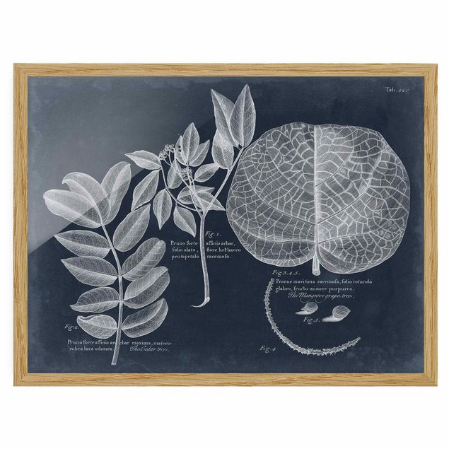 Poster con cornice - Foliage Dark Blue - Mangrove - Orizzontale 3:4