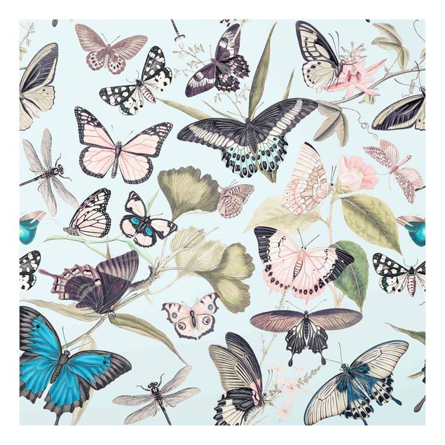 Quadro in vetro - Vintage Collage - farfalle e libellule - Quadrato 1:1