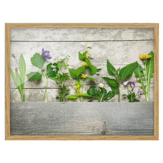 Poster con cornice - Medicinal And Wild Herbs - Orizzontale 3:4