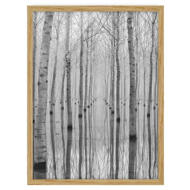 Poster con cornice - Birches In November - Verticale 4:3