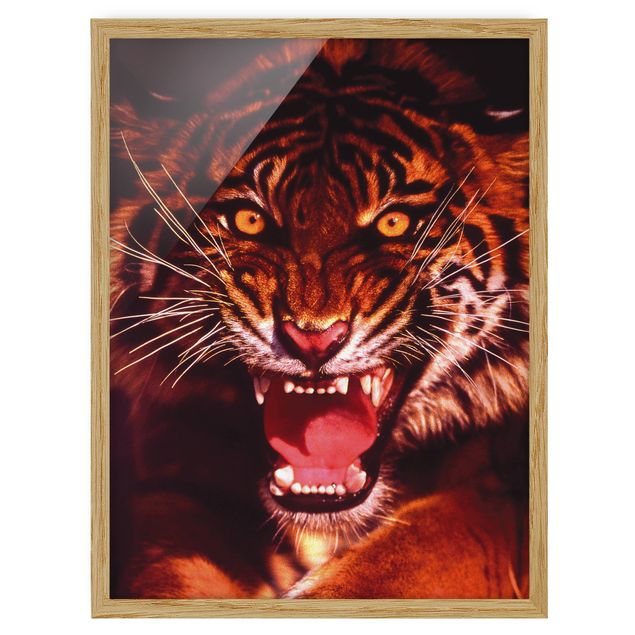 Poster con cornice - Wild Tiger - Verticale 4:3