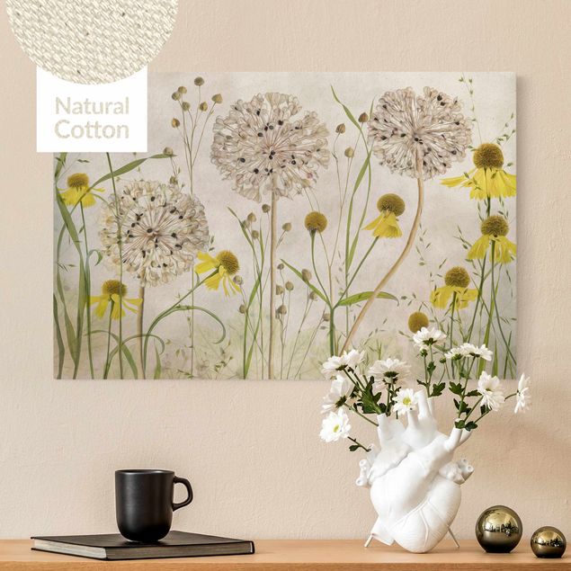 Stampe su tela fiori Illustrazione di Allium ed Helenium