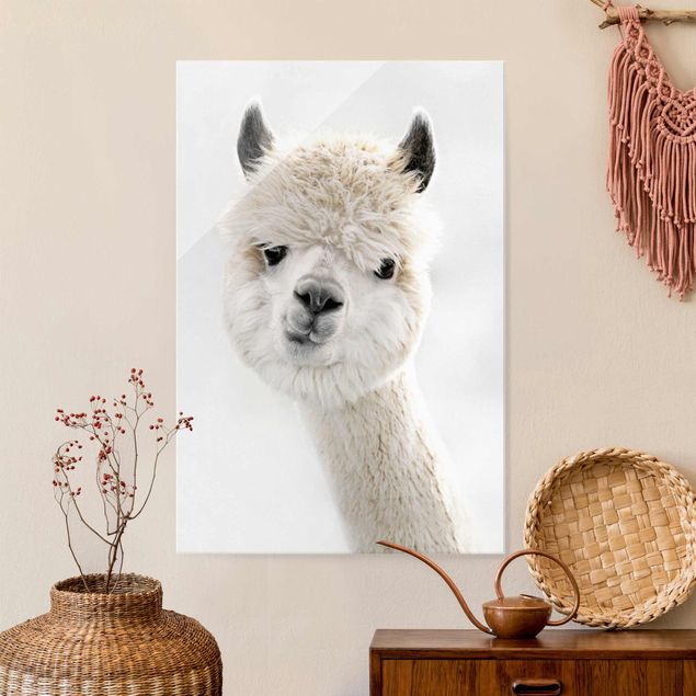 stampe animali Ritratto di alpaca