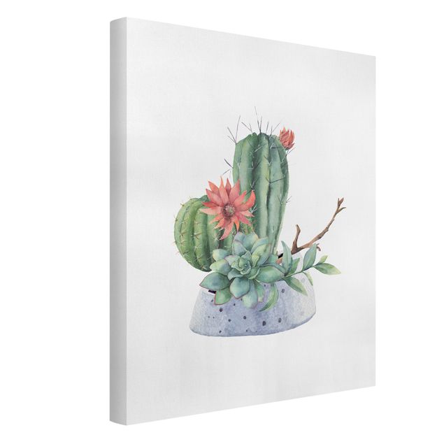 Stampe su tela Illustrazione di cactus ad acquerello