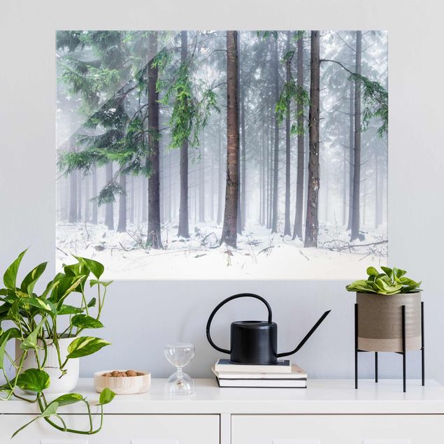 Lavagna magnetica in vetro Conifere in inverno