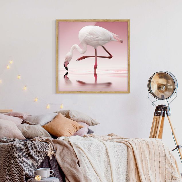Poster con cornice - Flamingo Dance - Quadrato 1:1