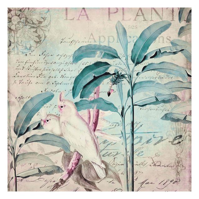 Carta da parati adesiva - Colonial Style Collage - Cacatua e palme- Formato quadrato